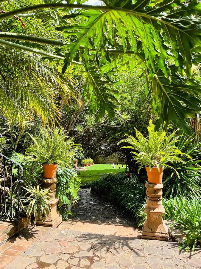 Casa Magdalena Hotel Boutique Morelia Eksteriør billede